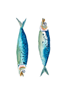 Sardine Print